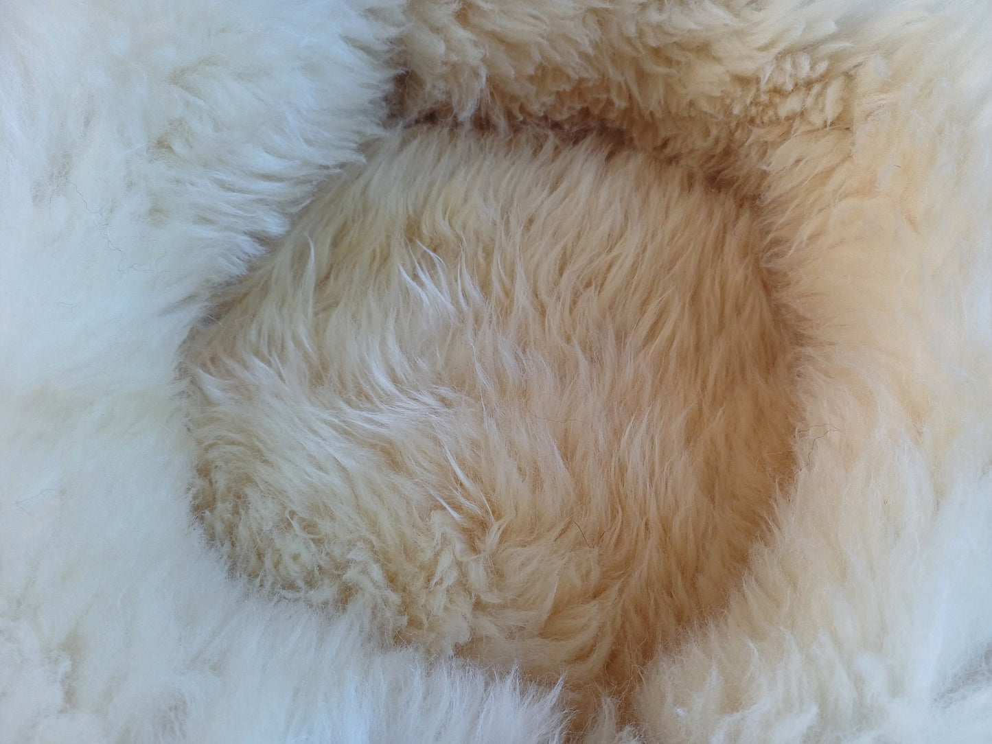 Schapenvachtmand 50cm