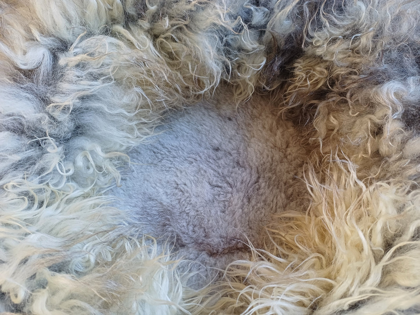 Schapenvachtmand 50cm "Melerade"