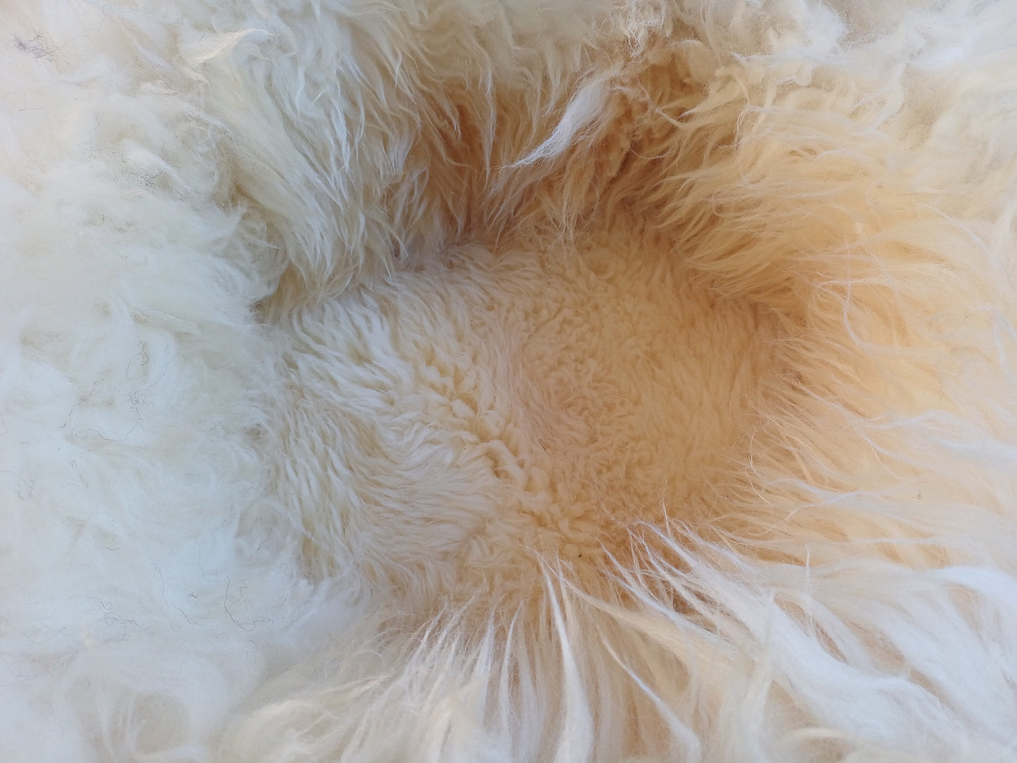 Schapenvachtmand 50cm