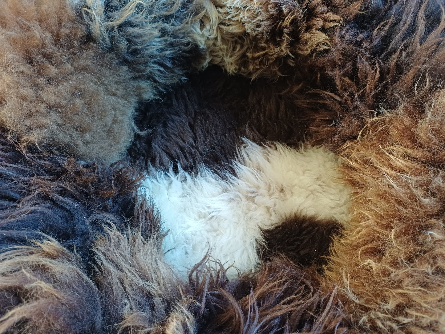 Schapenvachtmand 50cm