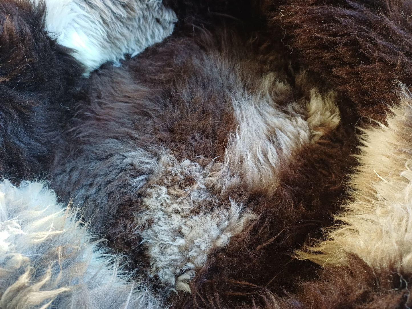 Schapenvachtmand 50cm