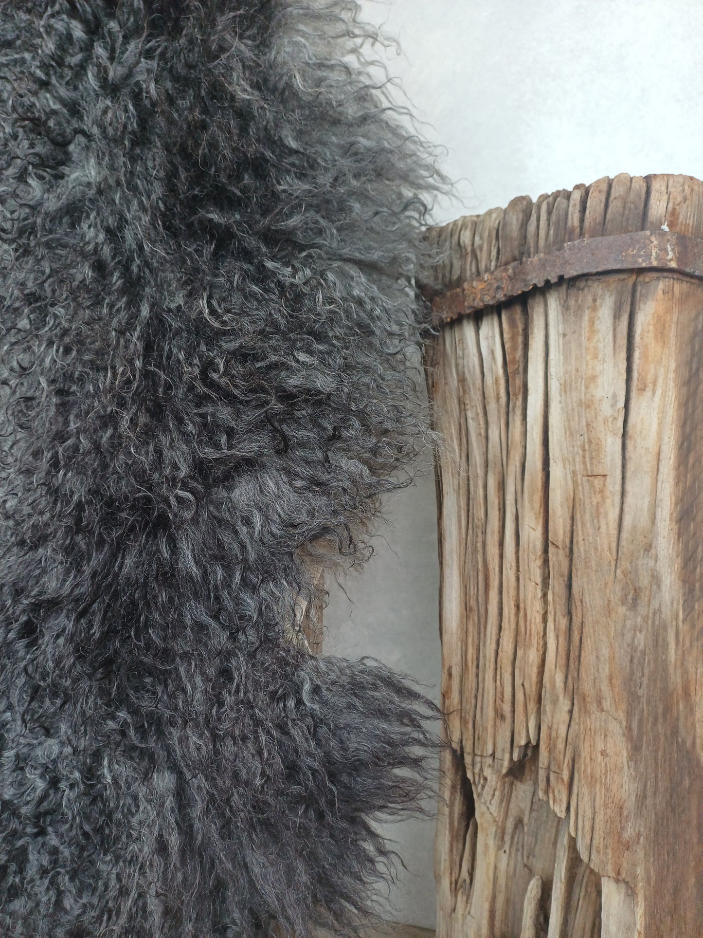 Gotland schapenvacht XL