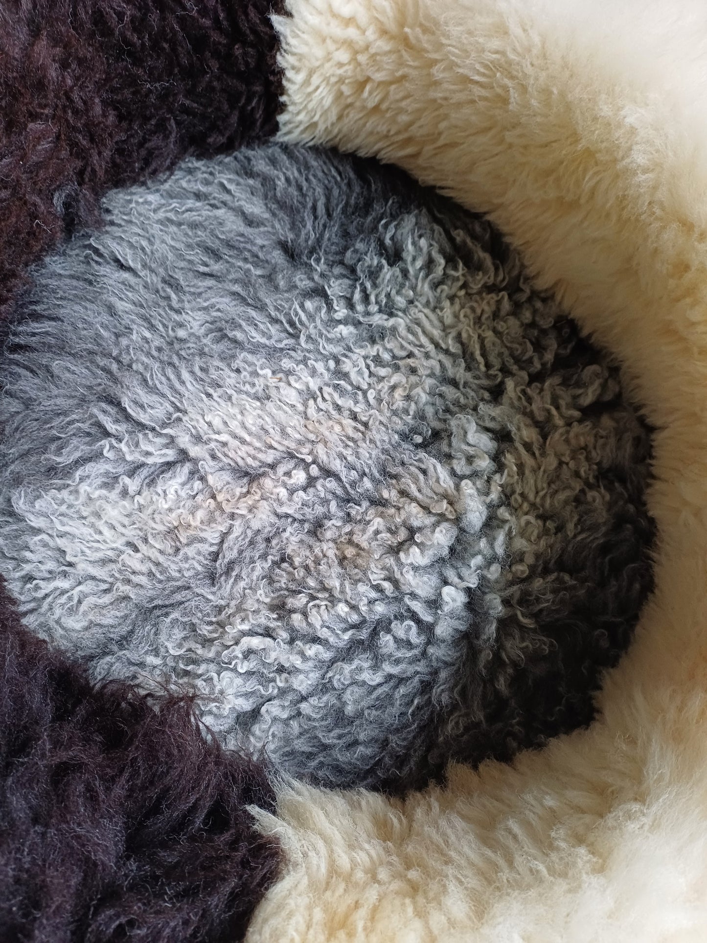 Schapenvachtmand 50cm