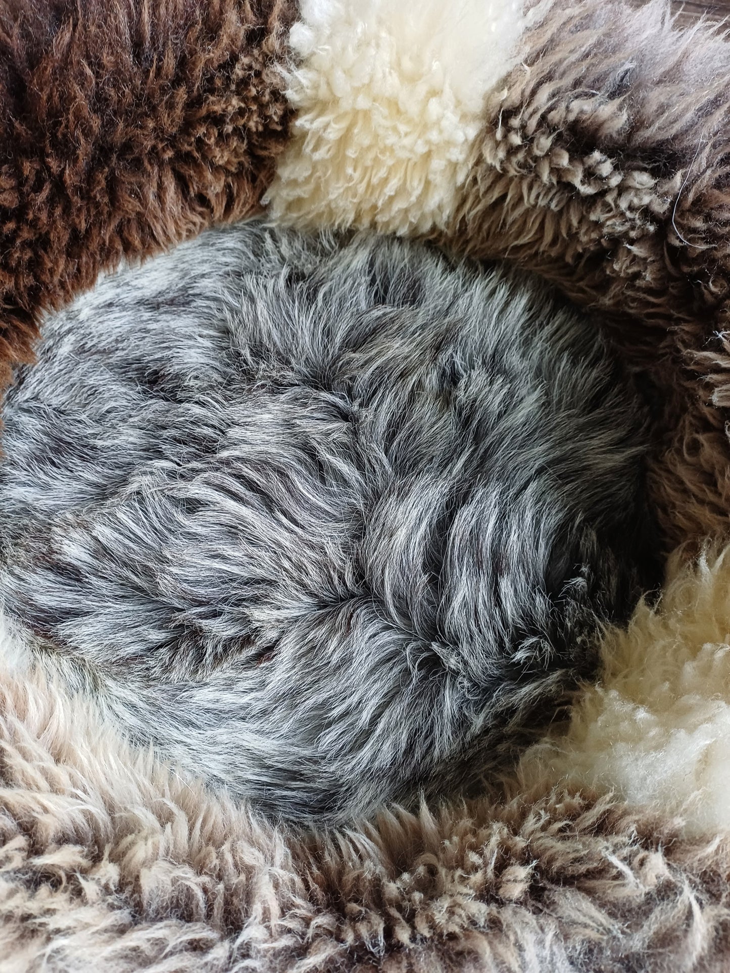 Schapenvachtmand 50cm