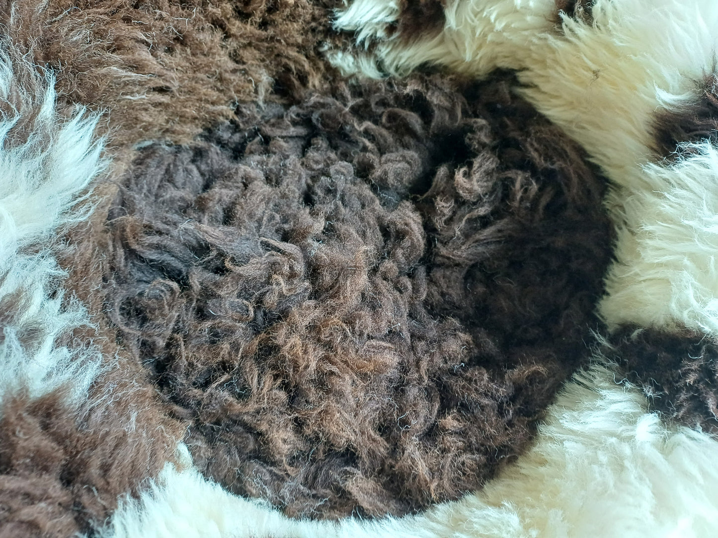 Schapenvachtmand 50cm