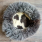 Schapenvachtmand 50cm