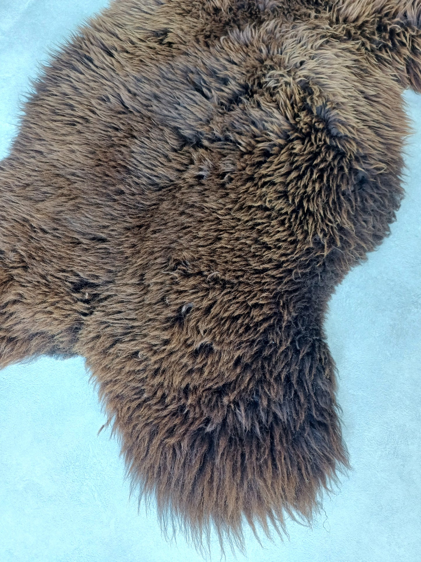 Hollandse vacht XL
