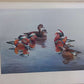 A Selection of Bird Paintings and Sketches, Philip Rickman, 1979.