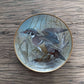 Waterbirds of the World - Franklin Porcelain, complete set