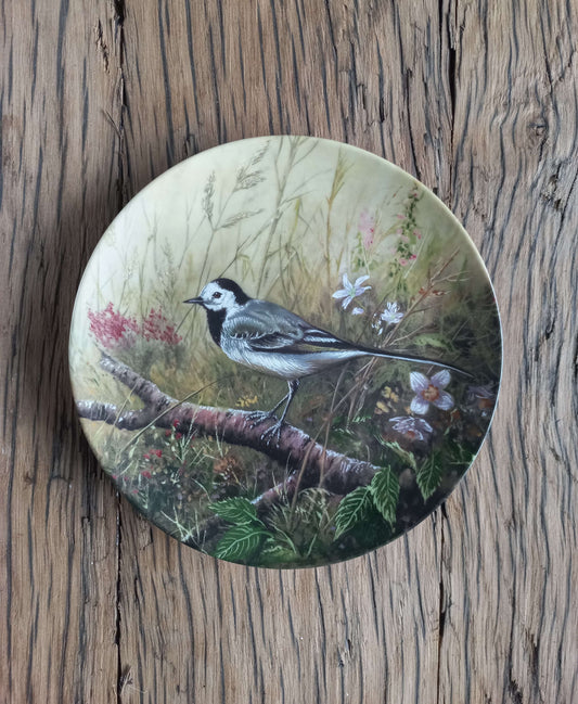 Bachstelze im Wiesengrund - Karl-Hans Boese