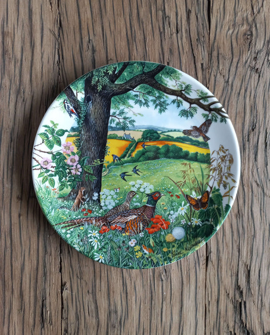 Meadows and Wheatfields - Colin Newman
