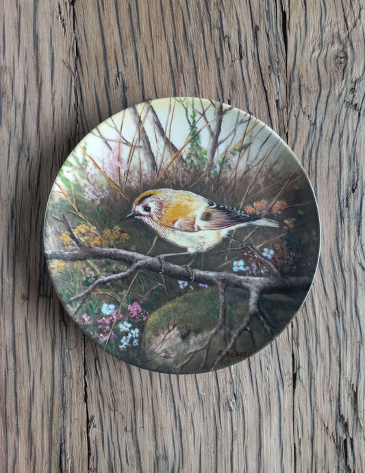 Wintergoldhähnchen auf Futtersuche - Karl-Hans Boese