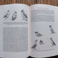 Handbuch der Vögel Mitteleuropas Band 10/ll