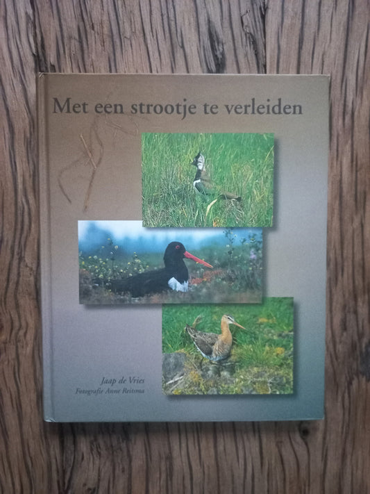 Met een strootje te verleiden - Jaap de Vries